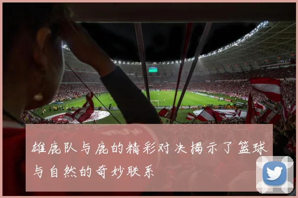 雄鹿队与鹿的精彩对决揭示了篮球与自然的奇妙联系