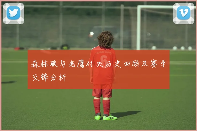 森林狼与老鹰对决历史回顾及赛季交锋分析
